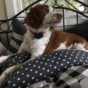 Meet your Posher, Sharon